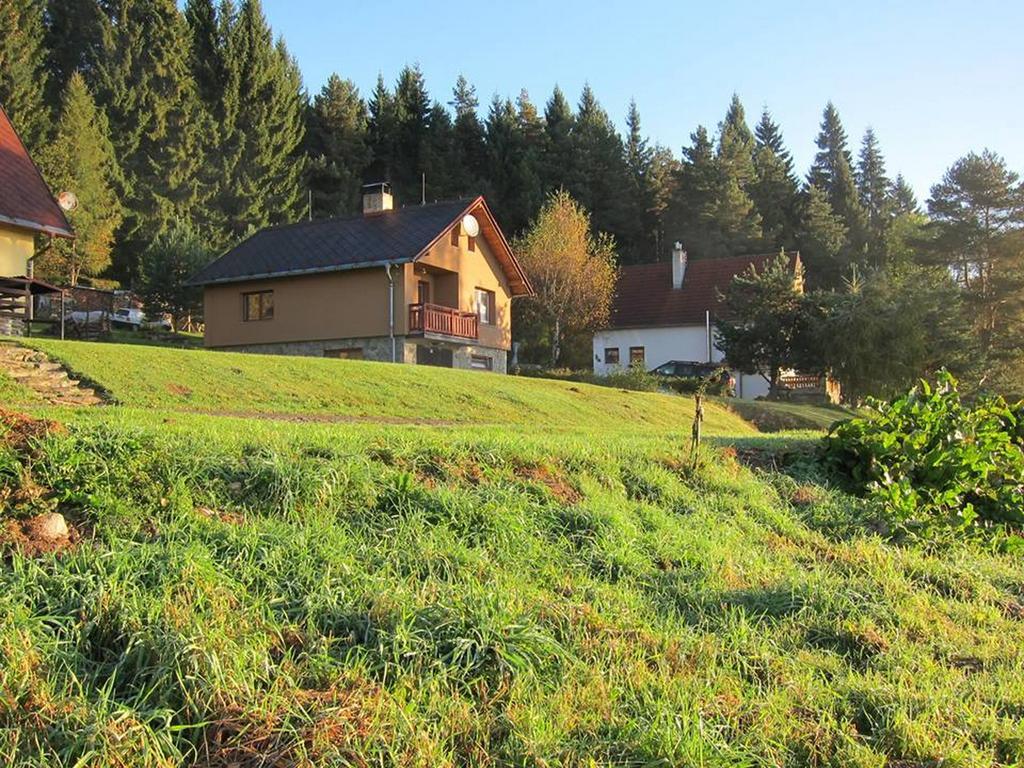 Chata OSTRUZINA 10+2 Lipno nad Vltavou Esterno foto
